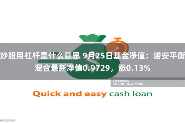 炒股用杠杆是什么意思 9月25日基金净值：诺安平衡混合最新净