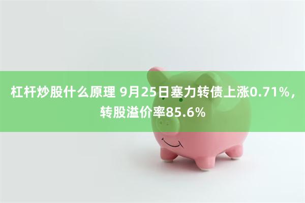 杠杆炒股什么原理 9月25日塞力转债上涨0.71%，转股溢价