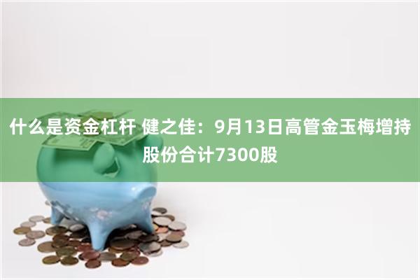 什么是资金杠杆 健之佳：9月13日高管金玉梅增持股份合计73