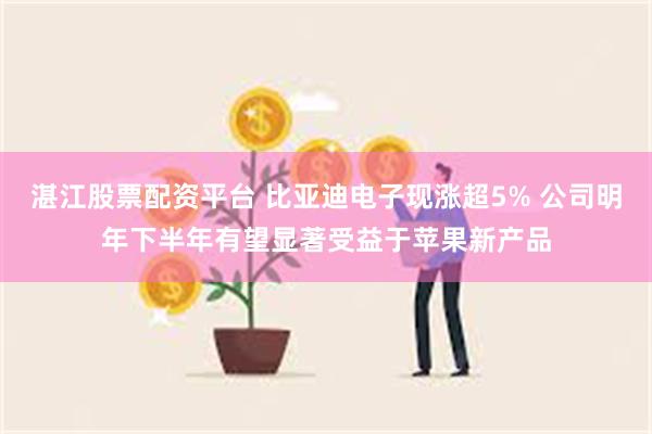 湛江股票配资平台 比亚迪电子现涨超5% 公司明年下半年有望显