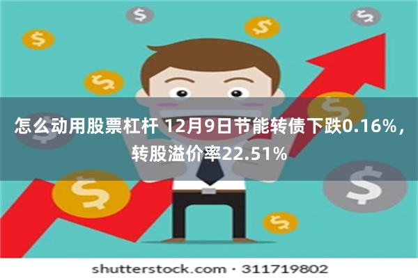 怎么动用股票杠杆 12月9日节能转债下跌0.16%，转股溢价