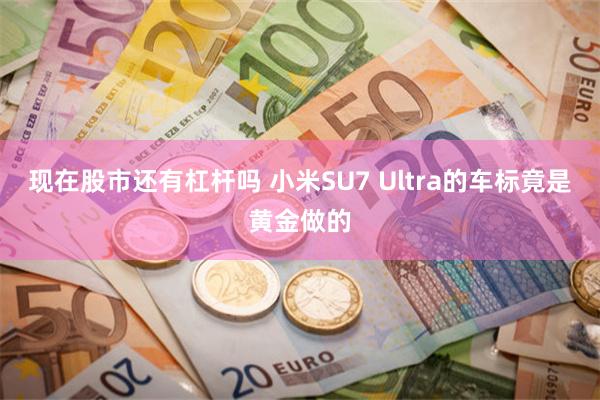 现在股市还有杠杆吗 小米SU7 Ultra的车标竟是黄金做的