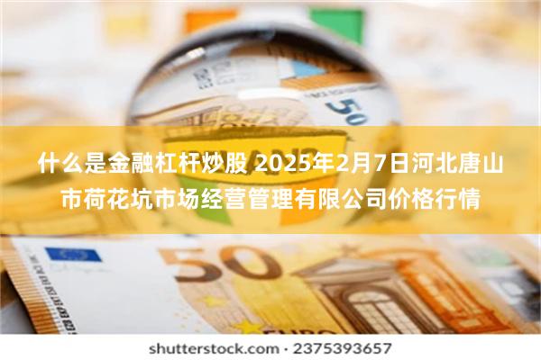 什么是金融杠杆炒股 2025年2月7日河北唐山市荷花坑市场经