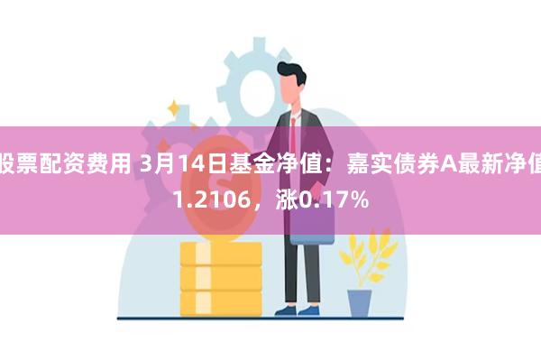 股票配资费用 3月14日基金净值：嘉实债券A最新净值1.21