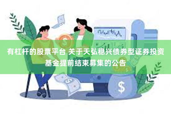有杠杆的股票平台 关于天弘稳兴债券型证券投资基金提前结束募集
