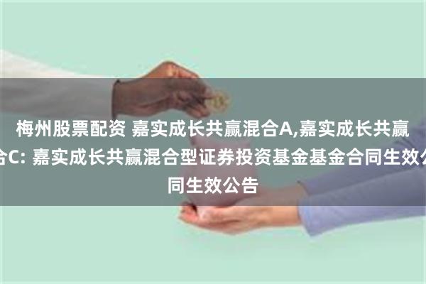 梅州股票配资 嘉实成长共赢混合A,嘉实成长共赢混合C: 嘉实